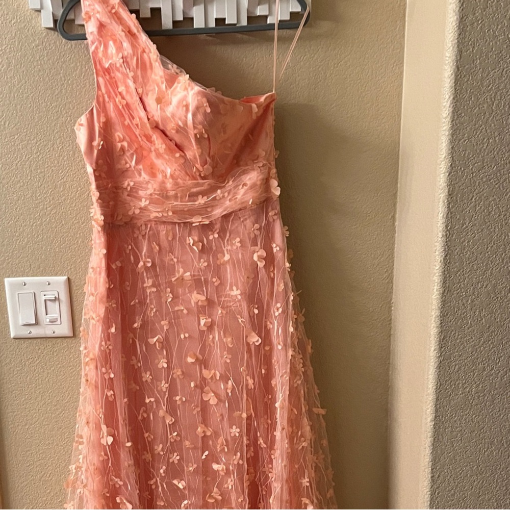 Elegant Peach One-Shoulder Gown